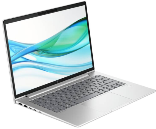 Ноутбук HP ProBook 445 G11 Pike Silver (AD0T6ET) - 2