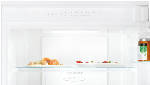 Холодильник с морозильной камерой Candy CCUBT5519EW - 6