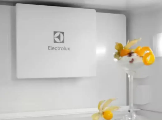 Холодильник з морозильною камерою Electrolux ENT6ME18S - 4