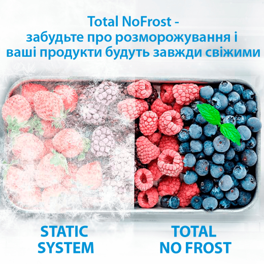 Холодильник із морозильною камерою Indesit INC18T311 - 12