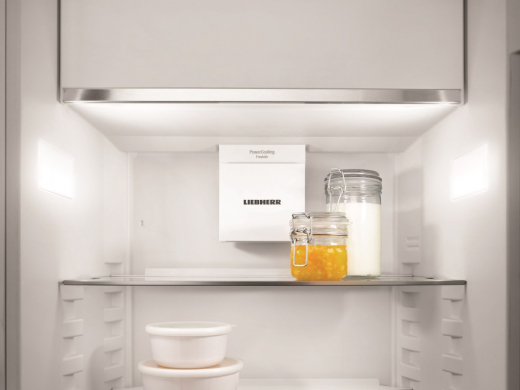 Холодильник із морозильною камерою Liebherr ICe 5103 - 6
