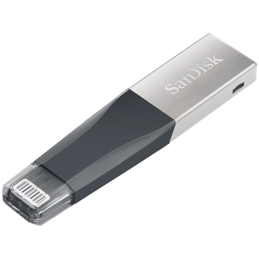 Флешка SanDisk 64 GB iXpand Mini (SDIX40N-064G-GN6NN) - 1