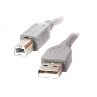 Кабель USB Cablexpert CCP-USB2-AMBM-6G - 2