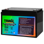 TRINIX LiFePo4 100 Ah 12V Акумуляторна батарея - 1