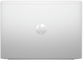 Ноутбук HP ProBook 445 G11 Pike Silver (AD0T6ET) - 4