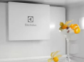 Холодильник з морозильною камерою Electrolux ENT6ME18S - 4
