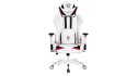 Компьютерное кресло  DIABLO X-Ray King Size Чёрно-белый - 1
