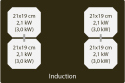 Варильна поверхня індукційна Elica NikolaTesla Switch WH/F/83 (PRF0146213A) - 5