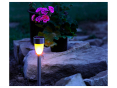 Світлодіодна садова гірлянда BRW Aje Rosa THK-079046 - 2