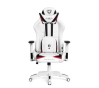 Компьютерное кресло для геймера Diablo Chairs X-Ray rozmiar L White - 1
