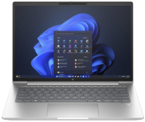 Ноутбук HP ProBook 445 G11 Pike Silver (AD0T5ET) Ноутбук HP ProBook 445 G11 Pike Silver (AD0T5ET)