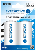 Акумулятор everActive D/HR20 10000mAh BL 2шт. Акумулятор everActive D/HR20 10000mAh BL 2шт.