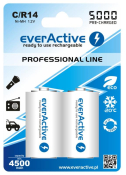 Акумулятор everActive С/HR14 5000mAh BL 2шт. Акумулятор everActive С/HR14 5000mAh BL 2шт.