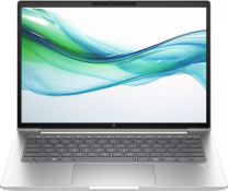 Ноутбук HP ProBook 445 G11 Pike Silver (AD0U0ET)