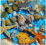 Ваги для підлоги VEGAS VFS-3080FS