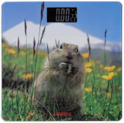 Ваги підлогові електронні Ardesto SCB-965MATTERHORN