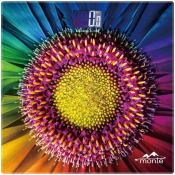 Ваги підлогові електронні Monte MT-6011-8