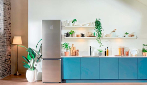 Холодильник з морозильною камерою Samsung RB7300T SpaceMax